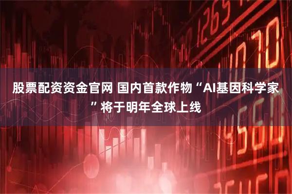 股票配资资金官网 国内首款作物“AI基因科学家”将于明年全球上线